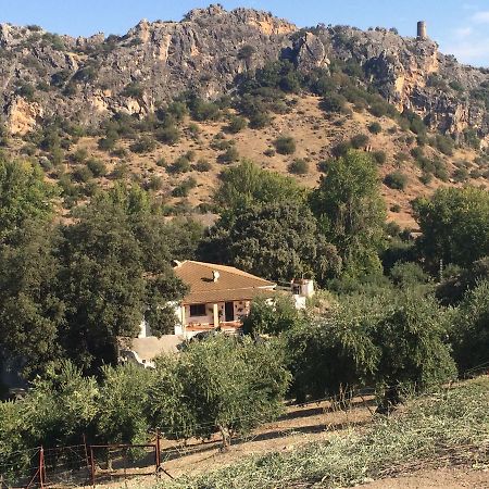 Villa La Quinta Priego De Cordoba Bagian luar foto