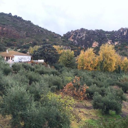 Villa La Quinta Priego De Cordoba Bagian luar foto