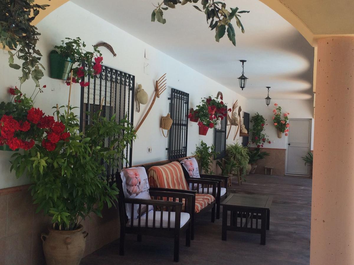 Villa La Quinta Priego De Cordoba Bagian luar foto