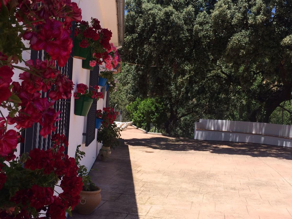Villa La Quinta Priego De Cordoba Bagian luar foto