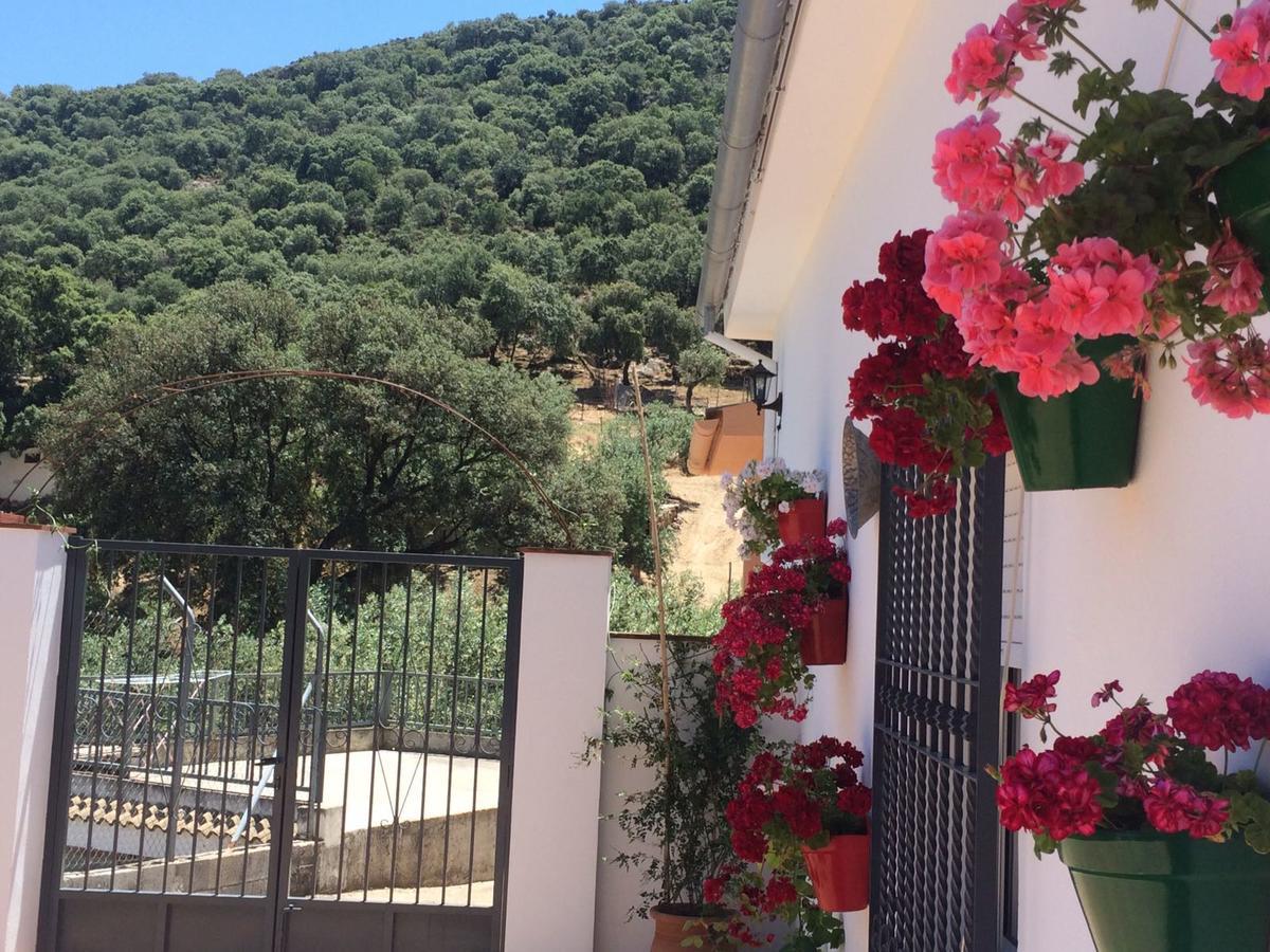 Villa La Quinta Priego De Cordoba Bagian luar foto