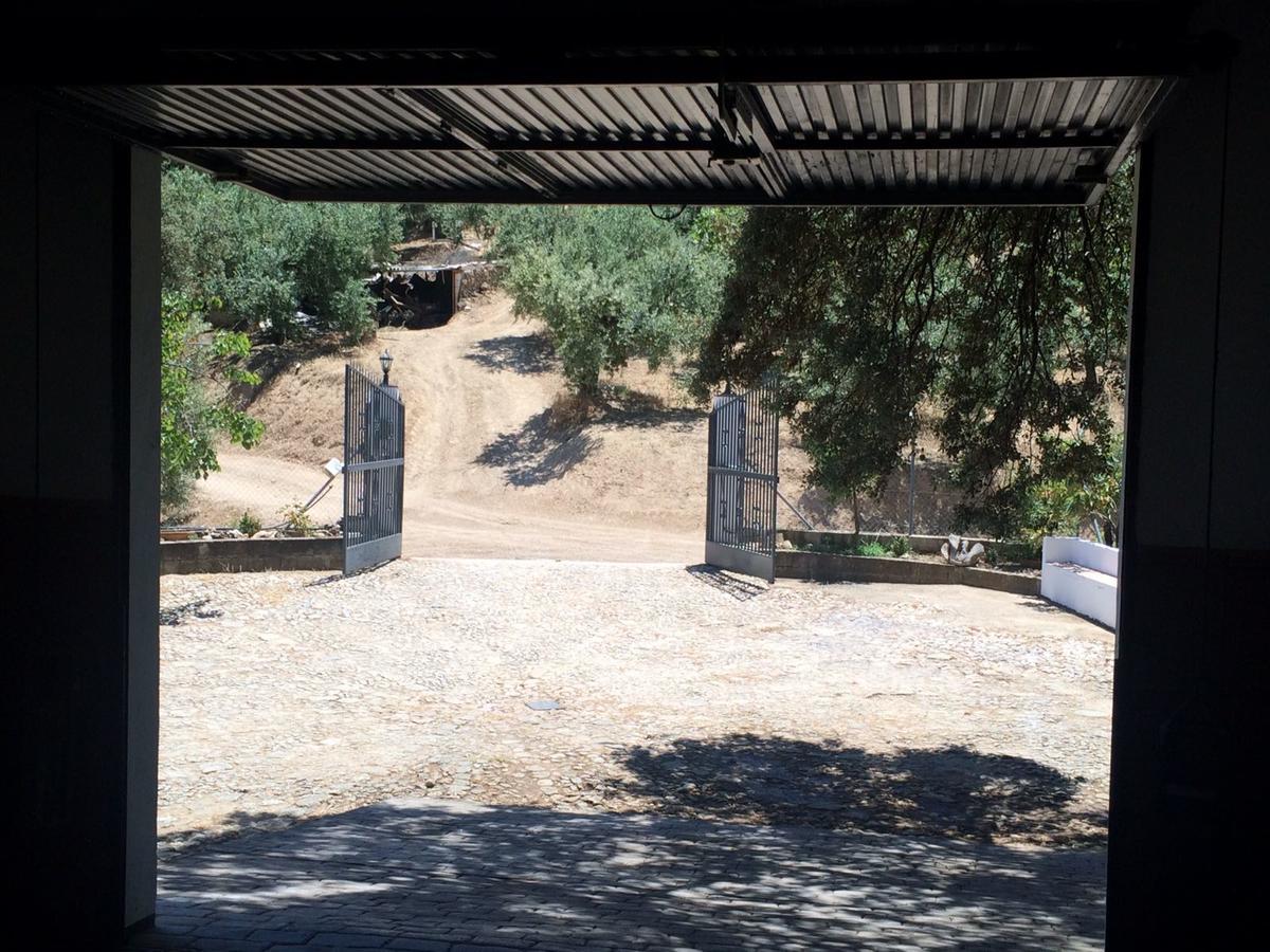 Villa La Quinta Priego De Cordoba Bagian luar foto