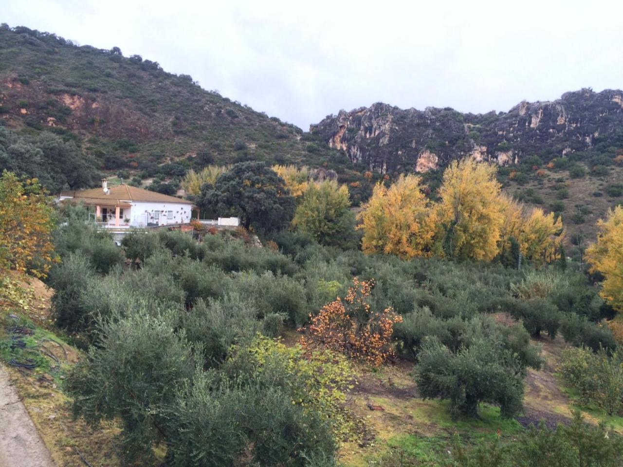 Villa La Quinta Priego De Cordoba Bagian luar foto